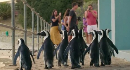 3-2-1 Пингвины! кадры