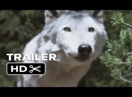 Белые волки 3: Крик белого волка кадры