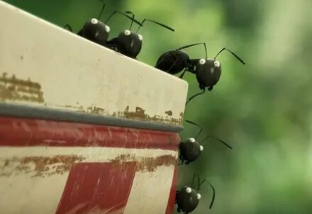 Букашки: Приключение в долине муравьев кадры