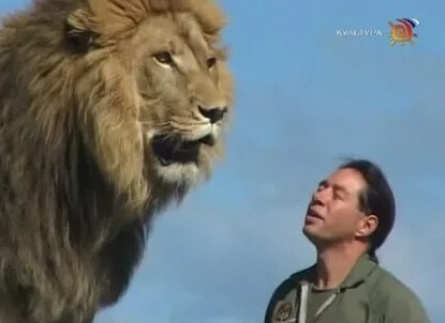 Человек и львы: История одного сафари кадры