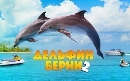 Дельфин Берни 2 кадры