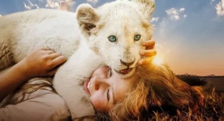Девочка Миа и белый лев кадры