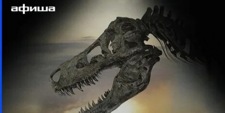 Динозавр 13 кадры