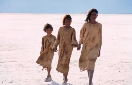 Following the Rabbit-Proof Fence кадры