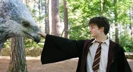 Гарри Поттер и узник Азкабана кадры