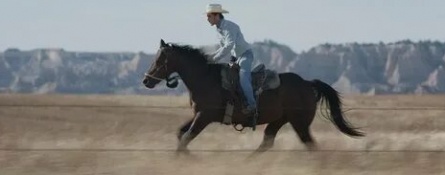 Horse Riders кадры