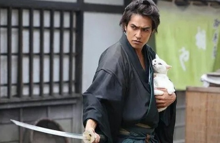 Кошка и самурай кадры
