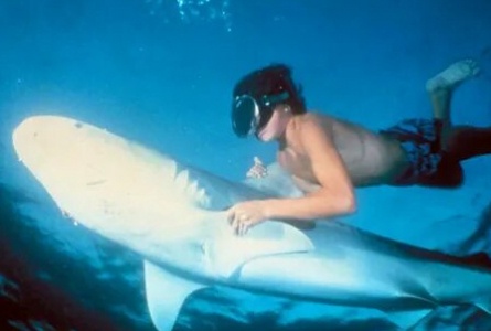 Ловец акул с острова Бора-Бора кадры