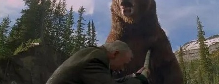 Медведь кадры