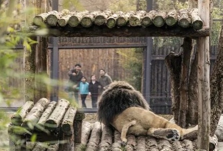 Московский зоопарк кадры