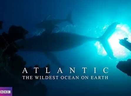 Непокорная Атлантика. Самый бурный океан Земли кадры