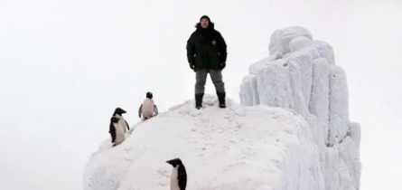 Пингвин нашего времени кадры