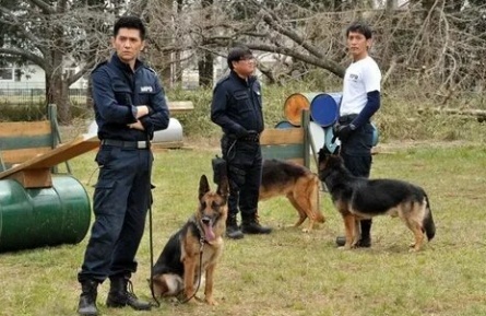 Полицейский пес: Отряд К-9 кадры