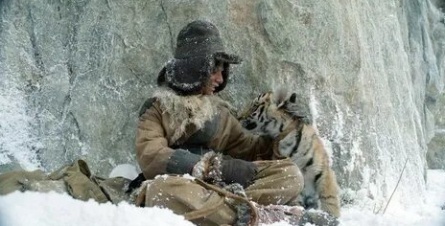 Рычащая десятка фильмов о тиграх, которые необходимо посмотреть кадры
