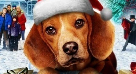 Шелби: Пес, который спас Рождество кадры