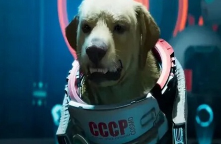 Собаки в космосе кадры