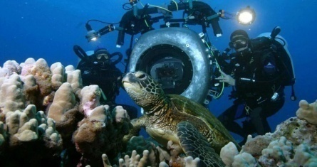 Тайны подводного мира 3D кадры