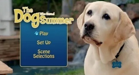 The Dog Who Saved Summer кадры