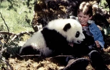 Удивительное приключение панды кадры
