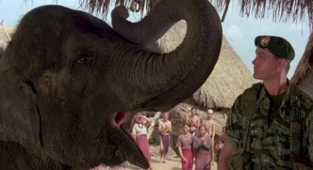 Великий побег слонов кадры