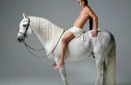 Всадник на белом коне кадры