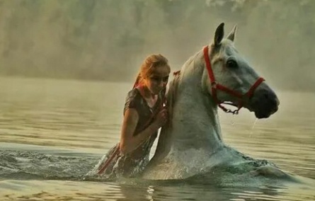 Земля и вода Аргентина, земля крылатых лошадей кадры