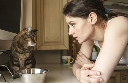 Женщина с котом и детективом кадры