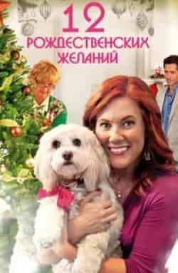 Сара Томпсон и фильм 12 Рождественских желаний (2011)