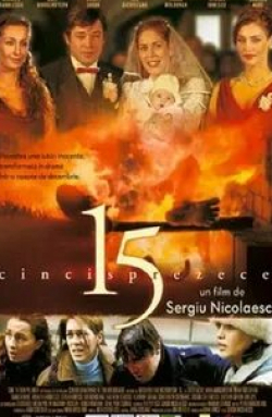 Ион Дикисяну и фильм 15 (2005)