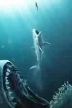 Акулы бизнеса кадр из фильма