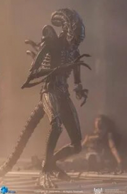 кадр из фильма Alien Warrior
