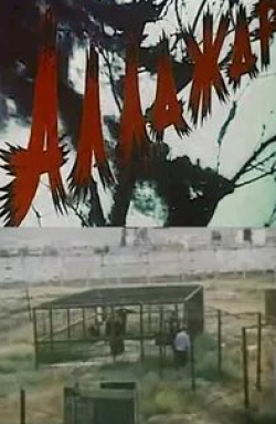 кадр из фильма Аллажар