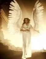 Холли Нир и фильм Ангел, ангел, вниз мы идем (1969)
