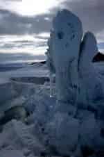 Антарктида кадр из фильма