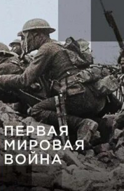 Матье Кассовиц и фильм Апокалипсис: Первая мировая война (2014)