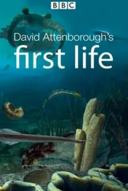Дэвид Аттенборо и фильм BBC: Истоки жизни (2010)