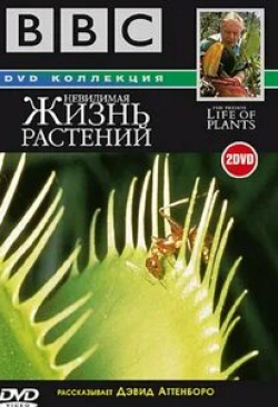 Дэвид Аттенборо и фильм BBC: Невидимая жизнь растений (1995)