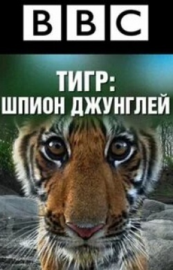 Дэвид Аттенборо и фильм BBC: Тигр — Шпион джунглей (2008)