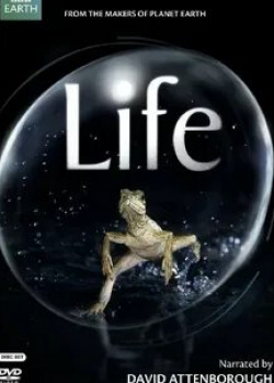 Дэвид Аттенборо и фильм BBC: Жизнь  (2009)