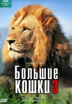 Дэвид Аттенборо и фильм BBC: Жизнь львов (2000)