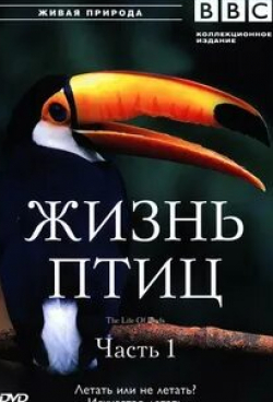 Дэвид Аттенборо и фильм BBC: Жизнь птиц (1998)