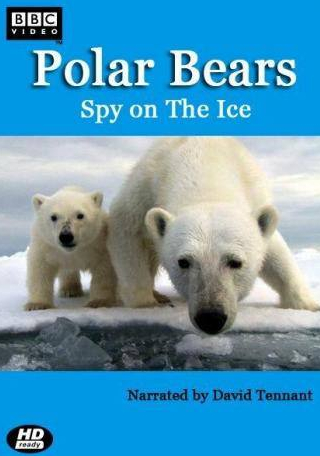 Дэвид Теннант и фильм Белый медведь: Шпион во льдах (2011)