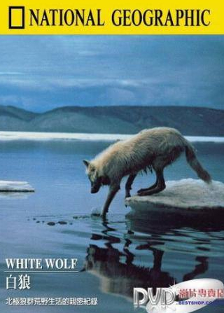 Ричард Кайли и фильм Белый волк (1986)