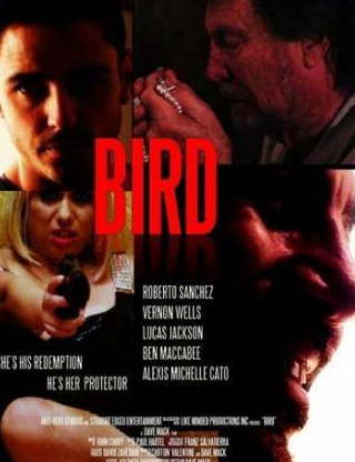 Вернон Уэллс и фильм Bird (2020)