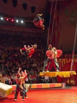 Большой Санкт-Петербургский цирк кадр из фильма