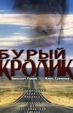 Хлоя Севиньи и фильм Бурый кролик (2003)