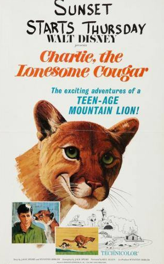 Джим Уилсон и фильм Чарли – одинокий кугуар (1967)