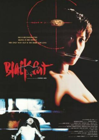 Саймон Ям и фильм Черная кошка (1991)