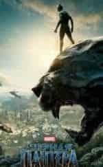 Черная Пантера кадр из фильма