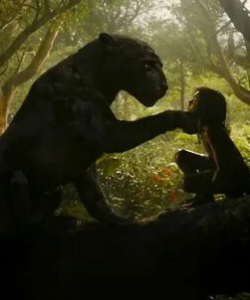 кадр из фильма Черная пантера и белый медведь